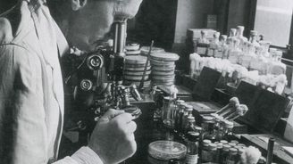 Bordelář co zachránil miliony životů. Před 95 lety Alexander Fleming objevil penicilin