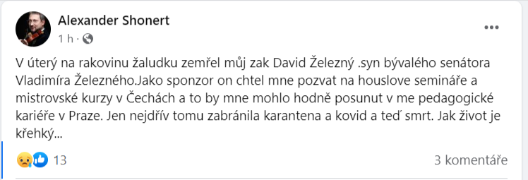 Slavný houslista původem ze Sibiře Alexander Shonert zveřejnil příčinu smrti Davida Železného.