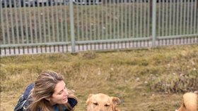 Modelku Alexandru (33) pokousal pes, kterého zachránila z útulku: Stačilo málo a přišla o oko!