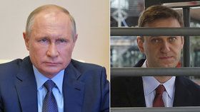 Navalnyj může zůstat za mřížemi 3,5 roku. Jeho žena dostala pokutu za demonstraci