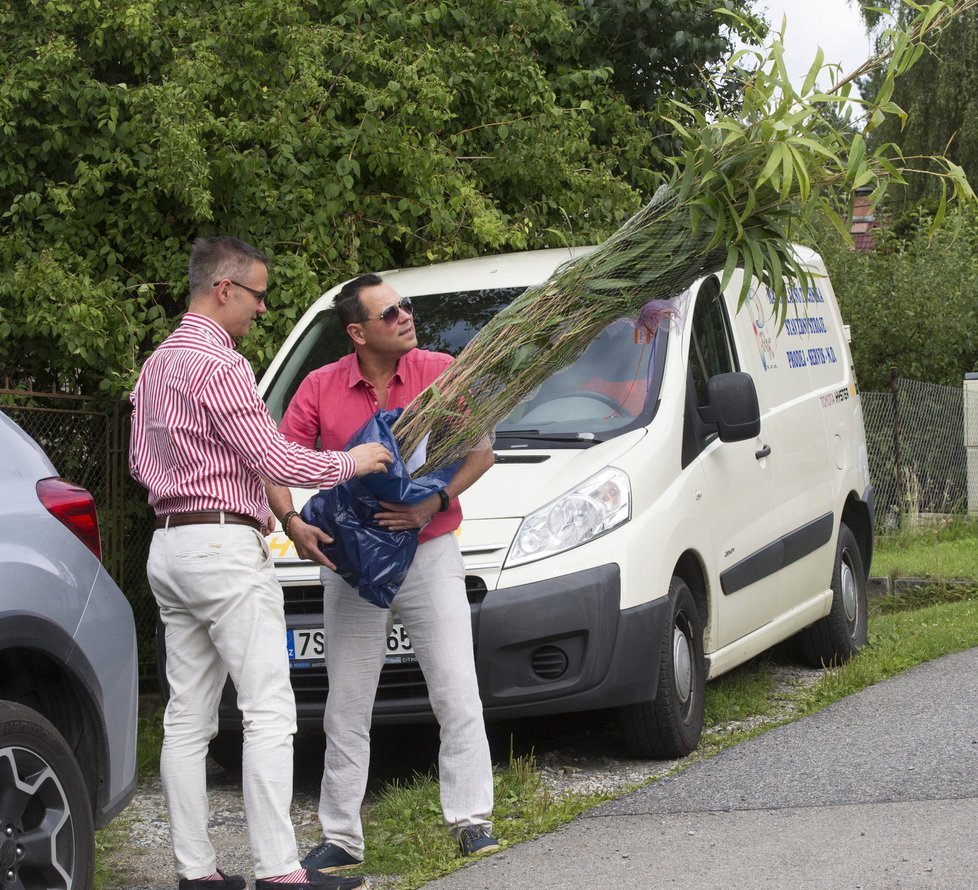 Pavel Vítek a Janis Sidovský přivezli dvoumetrový bambus, který si Regina přála.