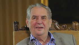 Prezident Miloš Zeman