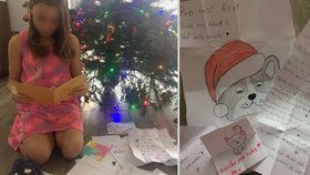 Soud poslal Alexii (11) před Vánoci do ústavu na "převýchovu": Neuvěřitelný ohlas od spolužáků