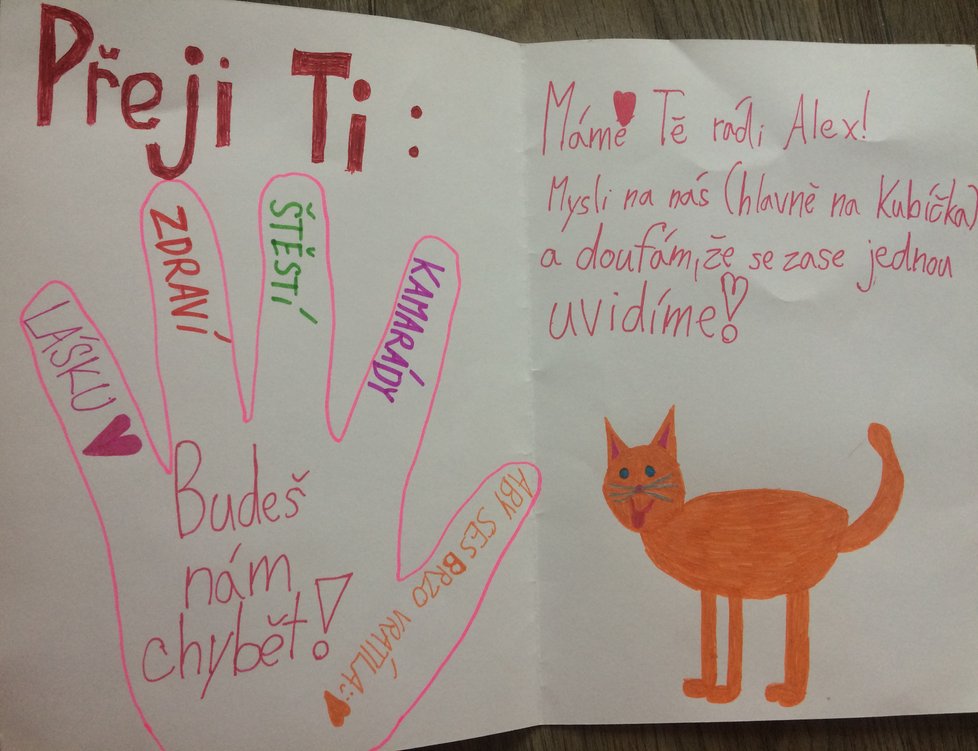 Alexia dostala od svých kamarádů ze školy spoustu přáníček.