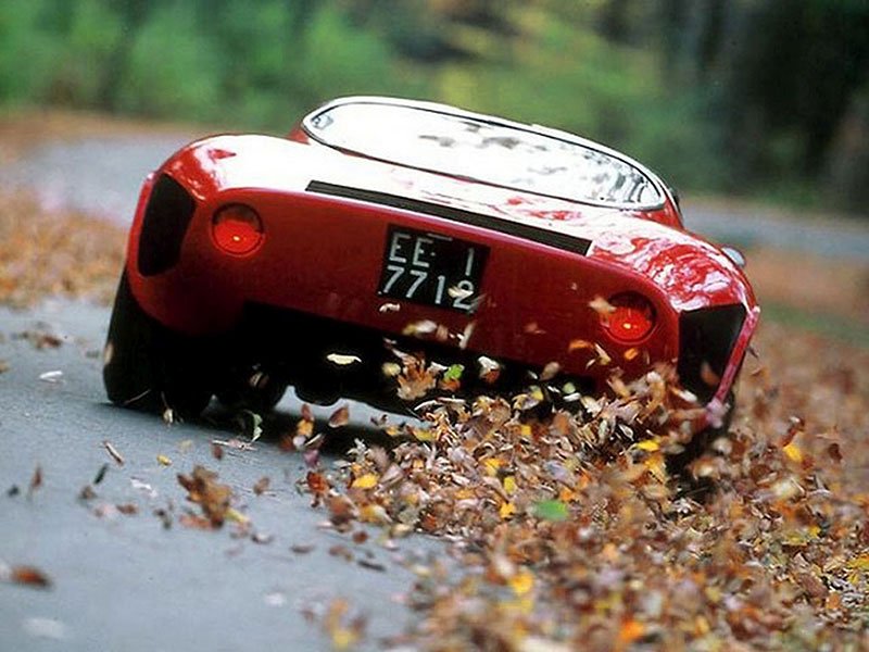 Alfa Romeo Tipo 33 Stradale