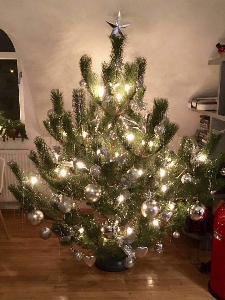 Vánoční stromeček Moniky Absolonové