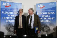 Vzývání nacistů, rasismus: Německá kontrarozvědka zvažuje sledování „Klausovy“ AfD