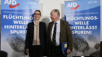 Rozhádaná AfD zažívá historický úspěch. Nikdo si s ní ale nebude chtít hrát, míní politologové