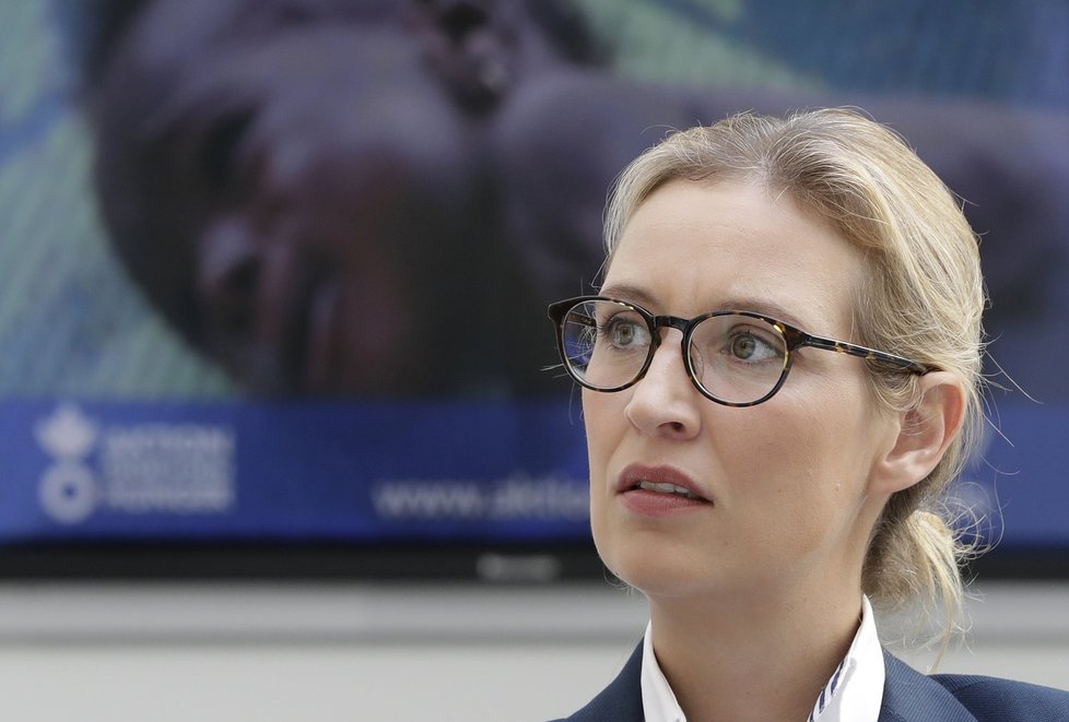 Alice Weidelová z Alternativy pro Německo (AfD)