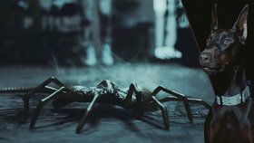 Vetřelec: Exemplář je výborný sci-fi film. Podívejte se na novinku Alien: Specimen hned teď