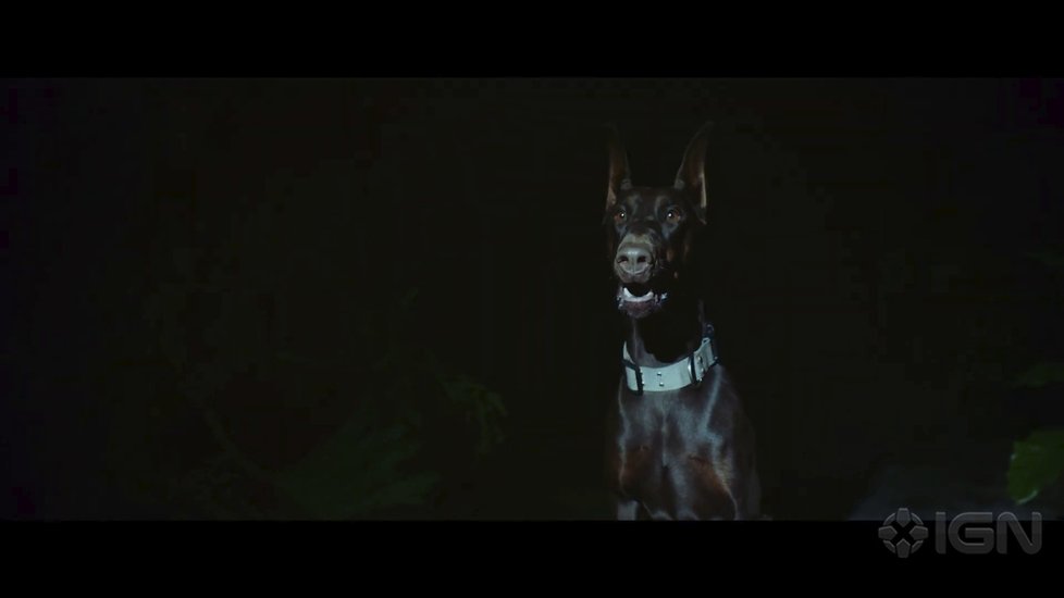 Záběry z filmu Alien: Specimen.