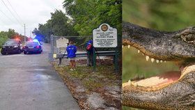 Třímetrový aligátor sežral ženu na Floridě, policie našla kusy těla