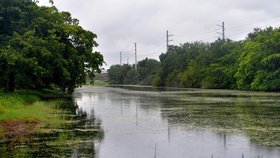 Jezero, u kterého k tragédii došlo, obývají obří masožravci.