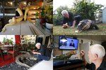 Philippe Gillet doma chová přes 400 zvířat