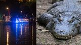 Další tragédie v Orlandu: Aligátor odtáhl do bažin dvouletého chlapce