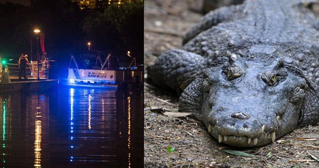 Další tragédie v Orlandu: Aligátor odtáhl do bažin dvouletého chlapce