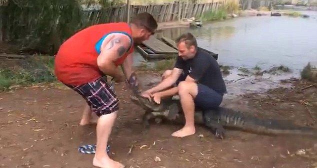Tenhle muž se pro změnu snažil aligátora přeprat. Zvíře mu ukouslo prst.