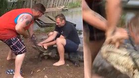 Muž se snažil zkrotit obrovského aligátora, ten mu urval palec