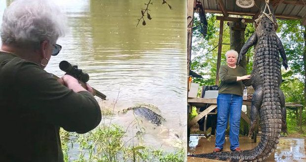 Babča (73) zabila aligátora, který jí sežral poníka. Z kůže chce boty