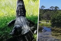 Muž (†47) lovil frisbee talíře v jezeře: Zřejmě ho sežral aligátor!