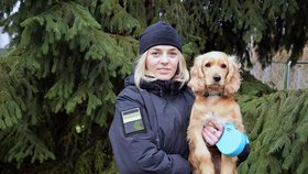 Ukrajinská psovodka Alina Paninovová pátrá po svých psech, které jí vzali ruští vojáci.
