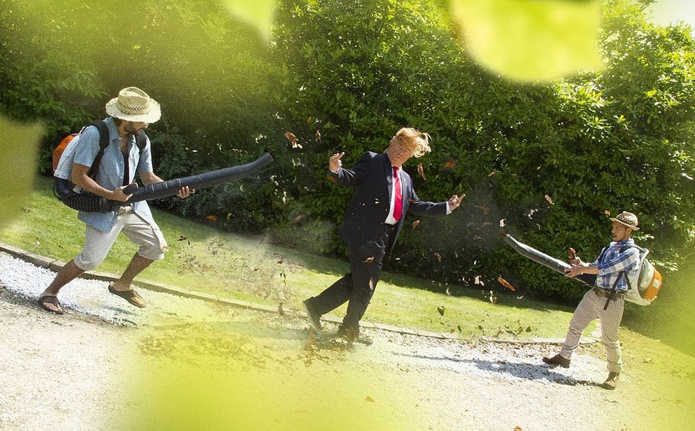 Trumpovo háro versus zahradní fukary na listí.