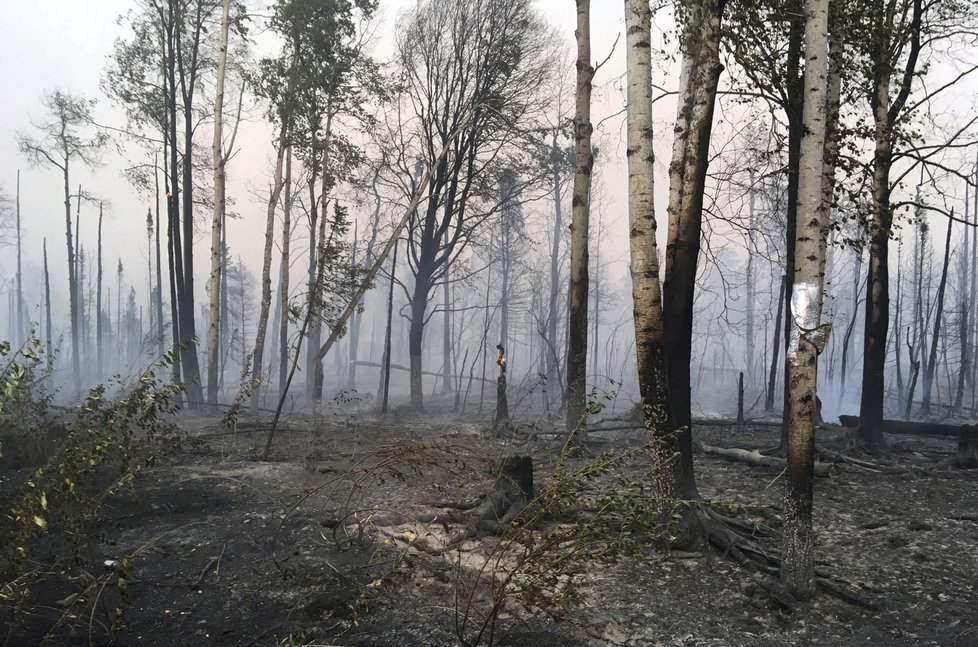 Lesní požár zachvátily v srpnu 2019 i Aljašku