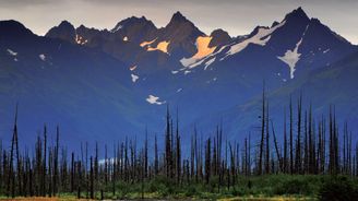 Střípky z Aljašky, největšího státu USA: Cesta, která nikam nevede
