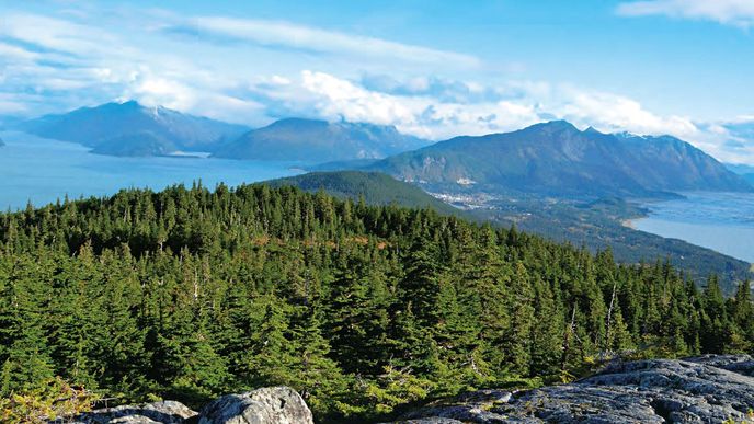 Pobřežní část Aljašky u města Haines, státní park Chilkat