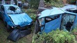Opilý řidič »zaparkoval« auto mezi smrčky před cizí chaloupku