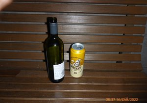 Skupinka mladistvých popíjela alkohol v Čelakovského sadech. Ilustrační foto