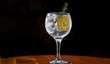 Královnin oblíbený koktejl je gin s dubonnetem, citronem a ledem