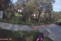 Poslední fotka pět minut před smrtí! Žena sdílela smutnou fotku dcery, kterou zabil řidič v SUV