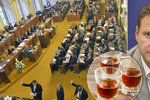 Alkohol má ve Sněmovně zelenou: Zákaz pití při schůzích je zrušený.