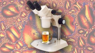 Alkohol pod mikroskopem. Podívejte se, co vlastně pijete