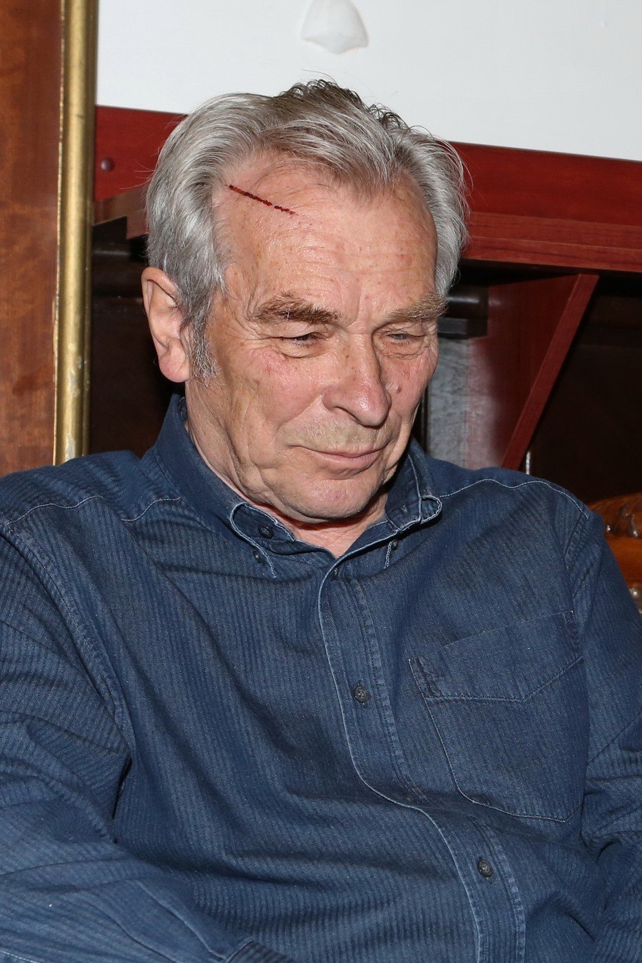 Alois Švehlík