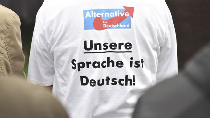 Alternativa pro Německo.