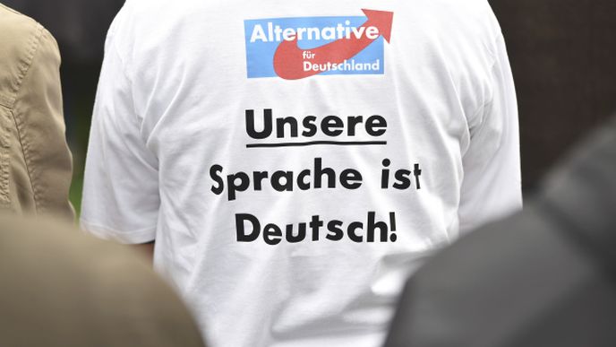 Alternativa pro Německo. Alternativa pro Německo.