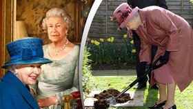 Alžběta II. má za šedesát let na anglickém trůnu řadu nevšedních zážitků i zkušeností. Z jejího života vám přinášíme symbolicky 60 zajímavostí
