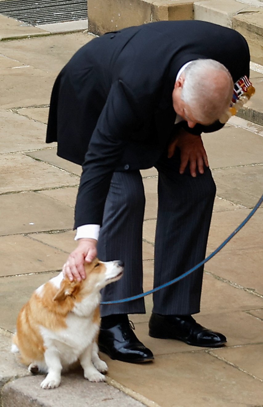 Pohřeb královny Alžběty II. - princ Andrew a corgi