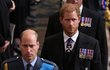 Pohřeb královny Alžběty II. - princ Andrew, princ Edward princ William, princ George a princ Harry