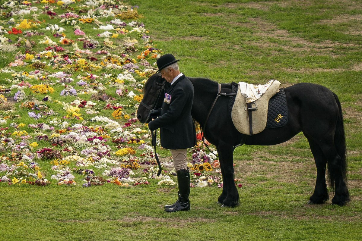 Pohřeb královny Alžběty II.- věrný královnin kůň