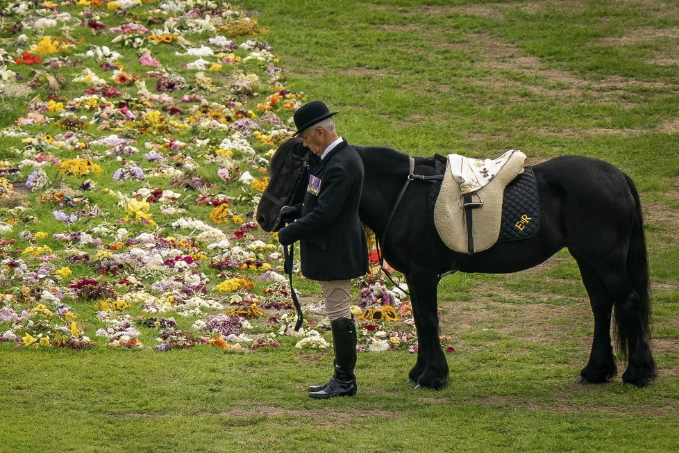 Pohřeb královny Alžběty II.- věrný královnin kůň