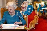 Královna Alžběta II. slaví 70 let na trůnu: Ukázala klenoty od otce i rozverného pejska