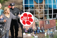Dramatická záchrana koček z rozpadlé maringotky: Majitelka odmítla zvířata vydat, zasáhla policie