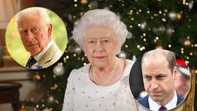 Královna nepozvala ani jednoho z přímých následníků trůnu na tradiční vánoční setkání v Sandringhamu