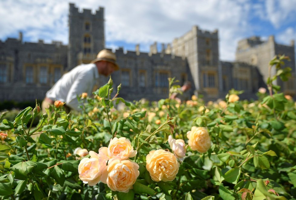 Hrad Windsor se zpřístupní veřejnosti. Je jedním ze sídel britské královny Alžběty II. (6. 8. 2020)