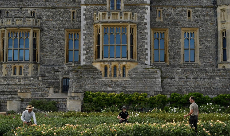 Hrad Windsor se zpřístupní veřejnosti. Je jedním ze sídel britské královny Alžběty II. (6. 8. 2020)