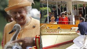 Královna Alžběta je smutná kvůli smrti labutí.