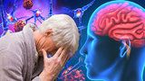 Nová naděje pro nemocné Alzheimerem? Pomáhají vědci i Češi s chytrými telefony